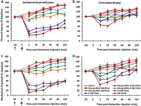 Figure From Thermal Hyperalgesia And Mechanical Allodynia Elicited By