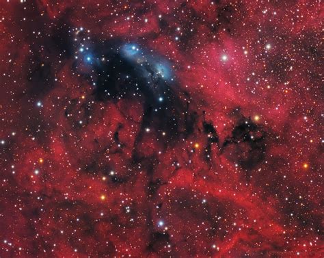 NGC 6914 A Reflection Nebula In Cygnus R Astrophotography