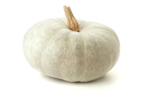 Calabaza Blanca Fotos De Stock Imágenes De Calabaza Blanca Sin