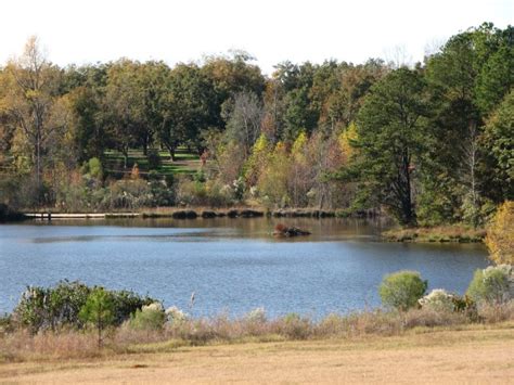 The Blue Heron Lake Nature Conservancy Mission Statement