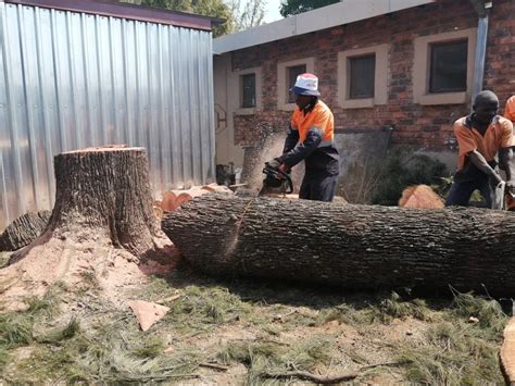 Tree Felling Group Pretoria Gauteng Construction Company