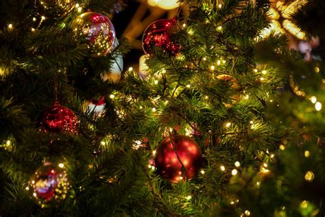 Christmas Lights Safety Tips | Walkers Electrical Solutions