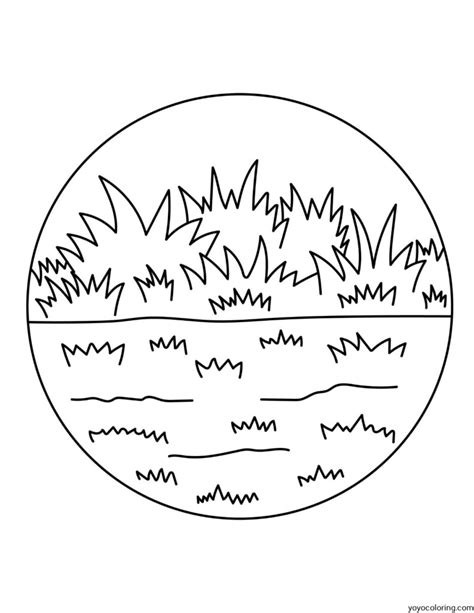 Grass Coloring Pages ᗎ Printable Painting Template