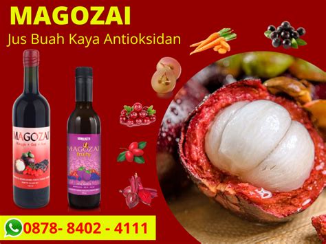 Jual Jus Antioksidan Tinggi Magozai By Minuman Antioksidan Terbaik