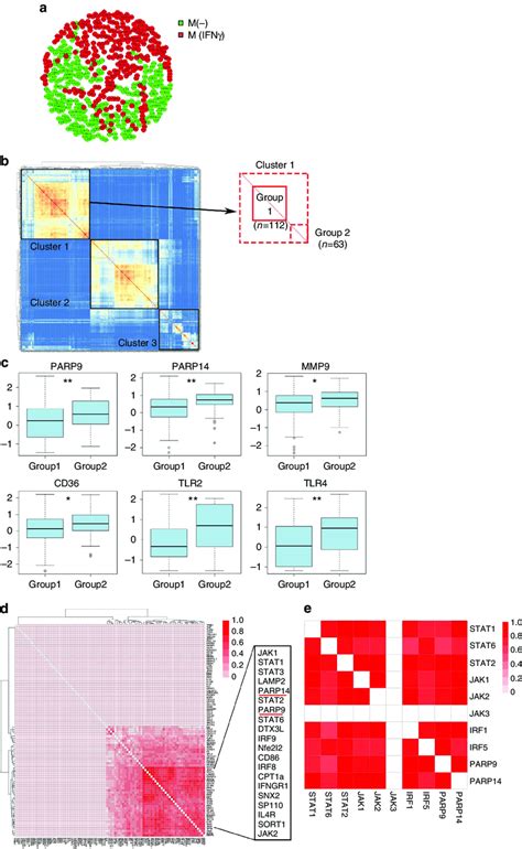 Single Cell Gene Expression Analysis Of Cd14 þ Macrophages A