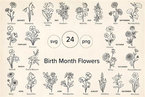 Birthmonth Flower Svg Flower Svg Birth Flowers Svg Floral Svg Bundle