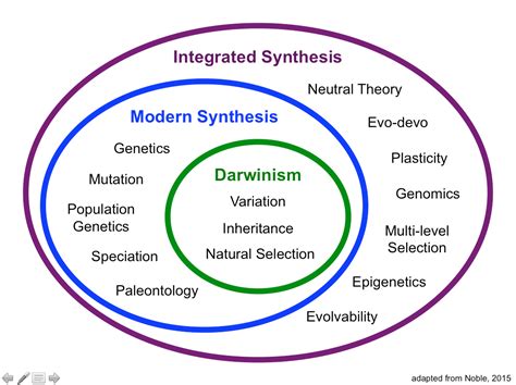 Modern Synthesis (20th Century) Wikipedia, 51% OFF