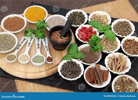 Herbal Health Ingredients Stock Image Image Of Catus 69592655