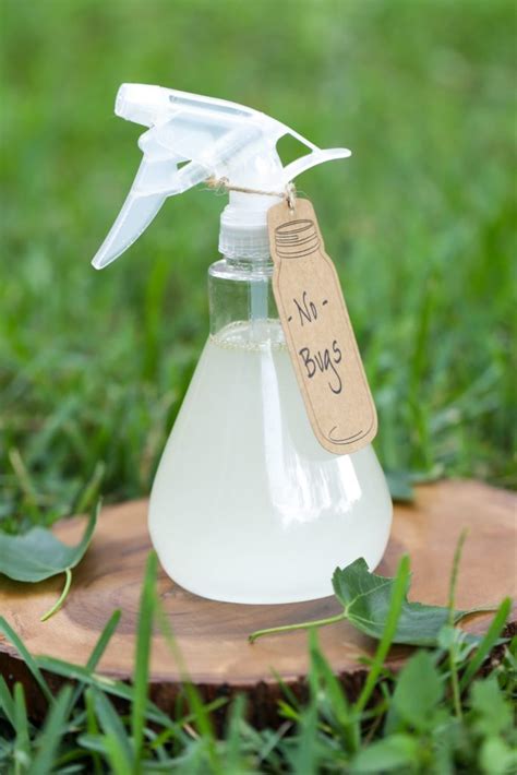 DIY Homemade Bug Spray Repellent Live Simply