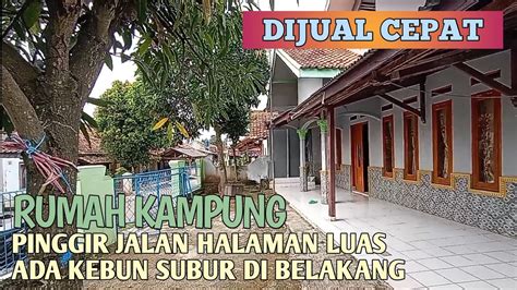 Rumah Kampung Halaman Depan Luas Dan Masih Punya Kebun Di Belakang