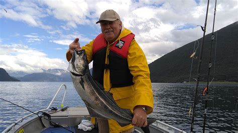 Skrei El Mejor Bacalao Del Mundo Skrei Noruego Saraiba