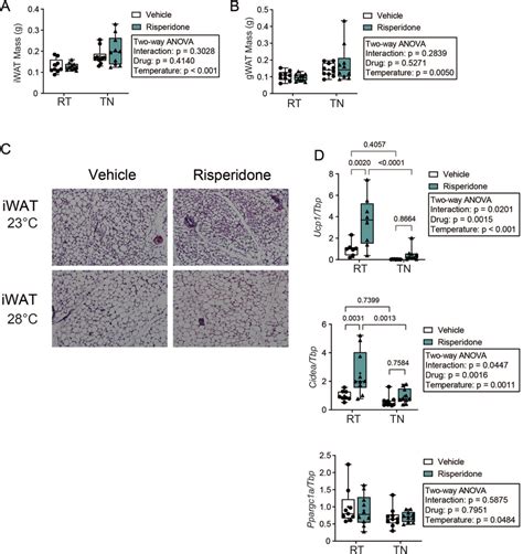 Thermoneutral Housing Prevents Indices Of Risperidoneinduced Beiging