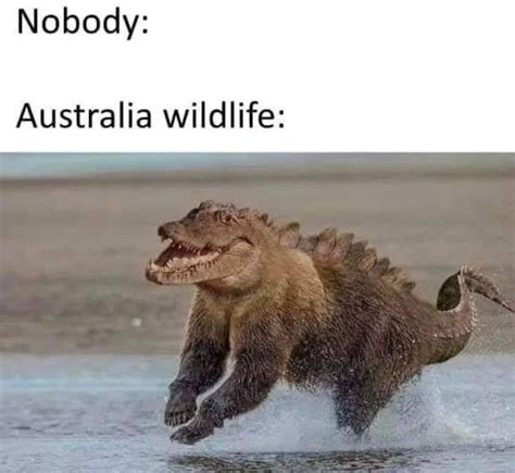 Australia Meme Subido Por FuzzyGrim Memedroid