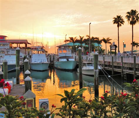 Why these saint lucie court records are easier to find now 37