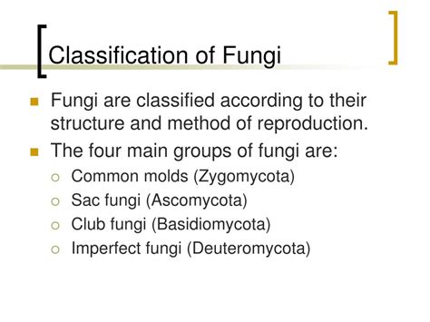 Ppt Classification Of Fungi Powerpoint Presentation Free Download