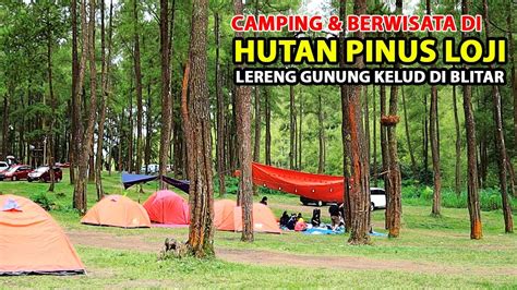 CAMPING DI HUTAN PINUS LOJI LERENG GUNUNG KELUD BLITAR YouTube