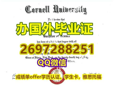 办美国毕业证成绩单《购买康奈尔大学文凭学位证》加微信q号2697288251〖精仿康奈尔毕业证〗，补办cornell成绩单，制作康奈尔学生