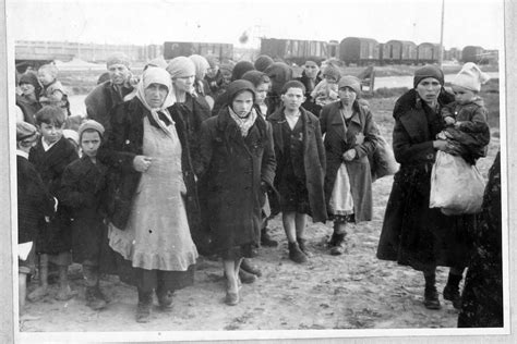 Un Album Dauschwitz Chapper Au Regard Des Bourreaux