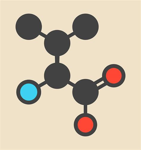 Valine Amino Acid Molecule Photograph by Molekuul - Fine Art America