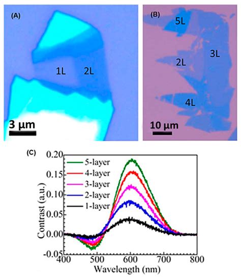 Recent Advances In Two Dimensional Materials With Charge Density Waves