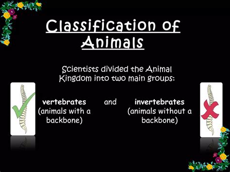 Classification of animals | PPT