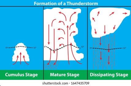 Diagram Formation Thunderstorm Stock Vector (Royalty Free) 1647435709 ...