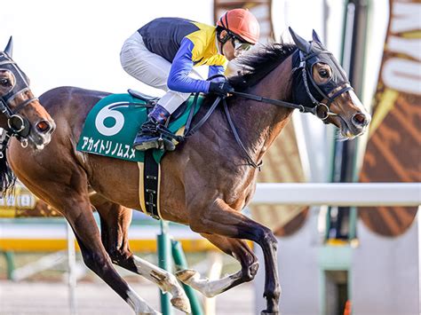 【秋華賞 注目馬】アカイトリノムスメ虎視眈々 最後の1冠で母子制覇狙う 競馬ニュース Netkeiba