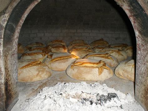 Come Si Cucina In Un Forno A Legna Silvio Cicchi