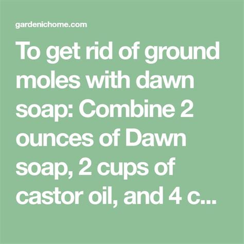 To Get Rid Of Ground Moles With Dawn Soap Combine 2 Ounces Of Dawn