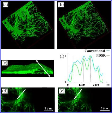 The 3D Image Of A Xed U2OS Cell Captured By Conventional Confocal