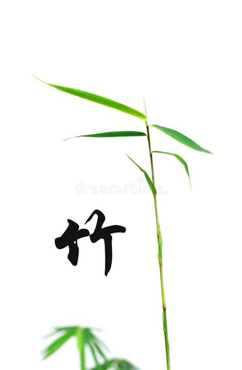 Bamboo And Chinese Calligraphy Stock Photo Image Of Bamboos Chinese