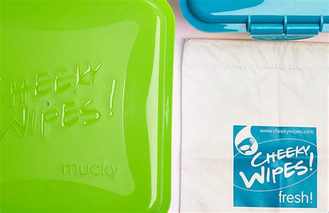 Cheeky Wipes - SORCIT DEVELOPMENTS LIMITED