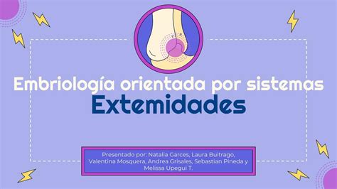 Extremidades Embriología Melissa Upegui Torres Udocz