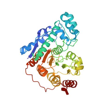 RCSB PDB 6DVL Crystal Structure Of Danio Rerio Histone Deacetylase 6