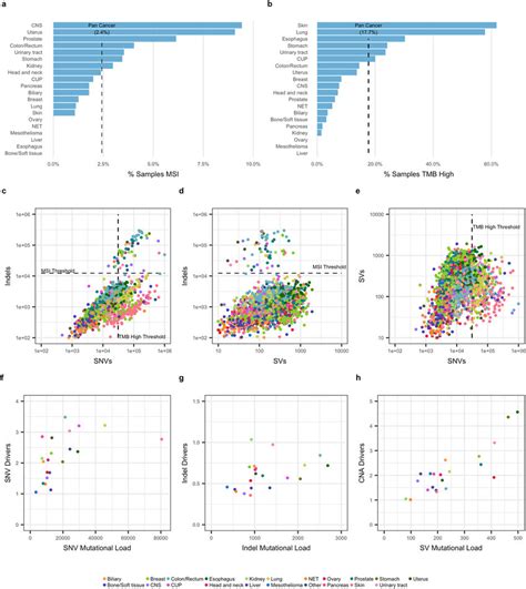 Mutational Load Genome Wide Analyses And Drivers A Proportion Of