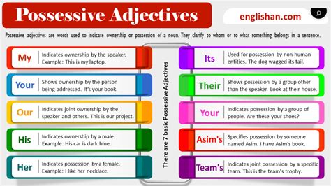 Possessive Adjectives in English with Examples • Englishan