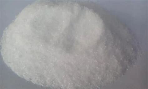 Procaine Hcl Wynn Chemicals