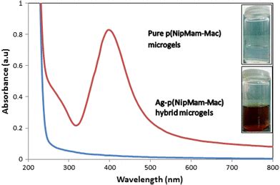 UVVis Spectra Of P NipMam Mac Microgels Blue Curve And