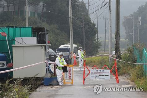 경북도 겨울철 5개월간 가축 질병 특별방역 나선다 나무뉴스