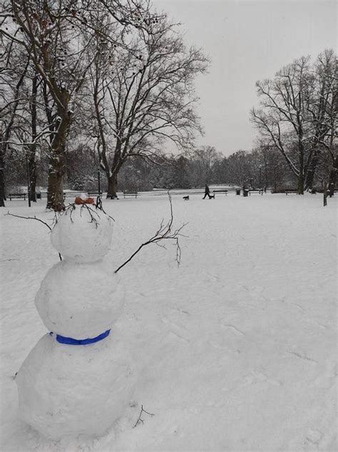 Zima W Parku Garnek Pl