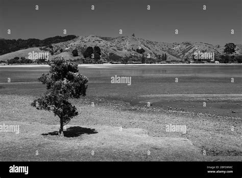 Kawakawa Bay North Island New Zealand View Across The Bay Stock