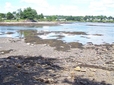 Searsport Me Penobscot Bay And View Of Mosman Park From The Public