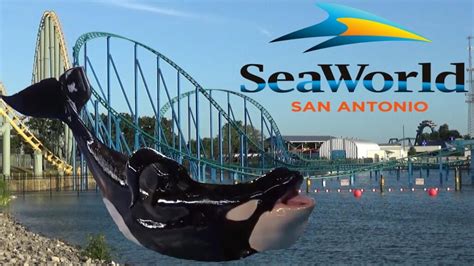 Cu Nto Cuesta Seaworld San Antonio Mundocomo