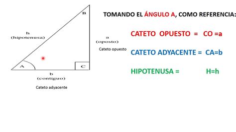 Sample Mind Map Mind Map