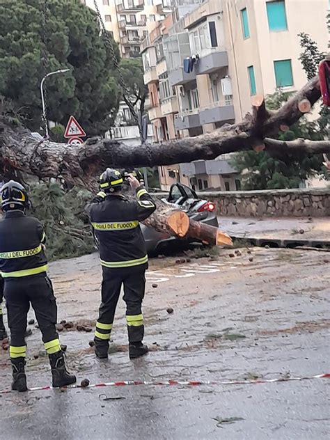 Messina Crolla Un Grosso Albero A S Licandro Ora Si Cerca Di Capire