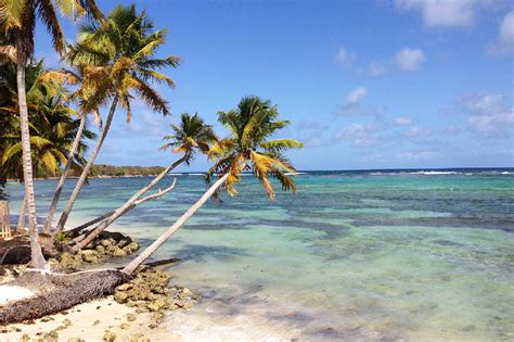 Les Plus Belles Plages De Guadeloupe Le Mag Voyageurs