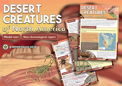 Year 5 Model Text Non Chronological Report Desert Creatures Of