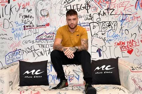 Liam Payne Sends Fans Into Meltdown After Naked Snap Breaks The Internet Daily Star