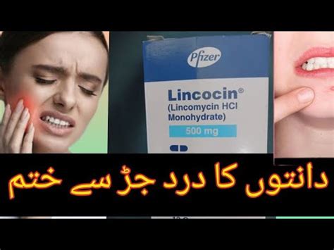 Lincomycin Mg Capsule Uses In Urdu Detail Review Dosage Benefits