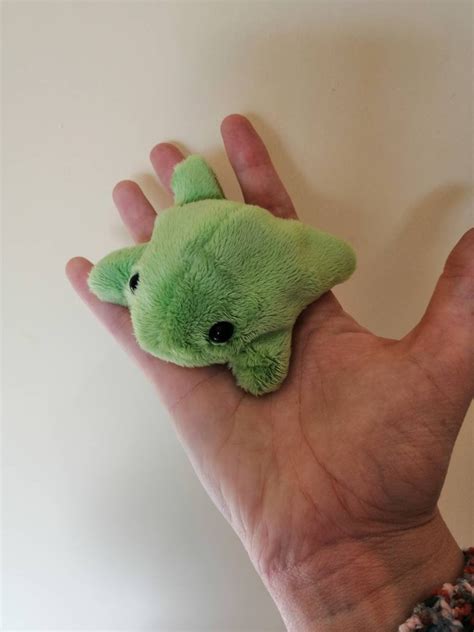 Baby Bean Frog Cute Soft Fluffy Frog Filled With Plastic Etsy Uk